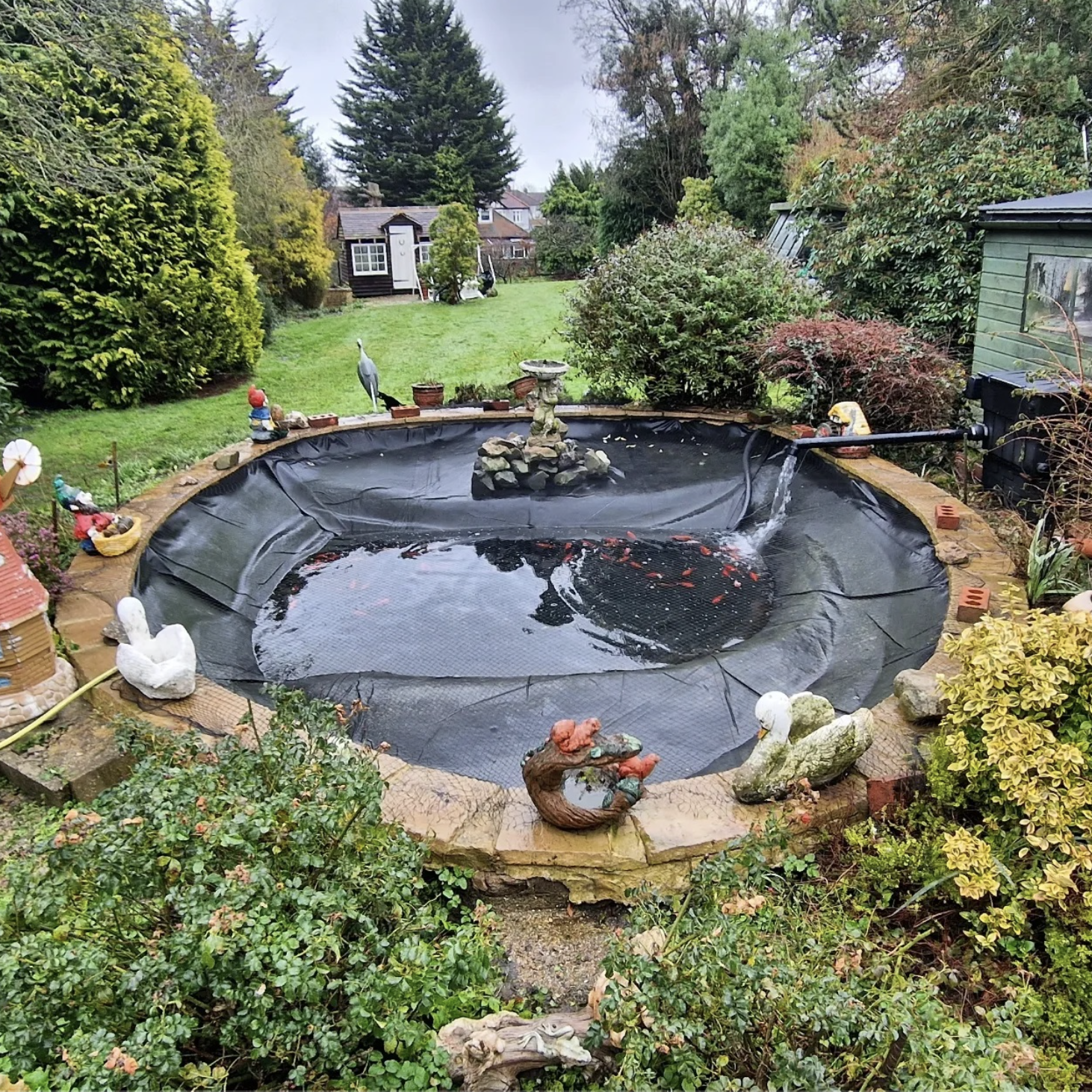 pond-maintainance-pro-earth