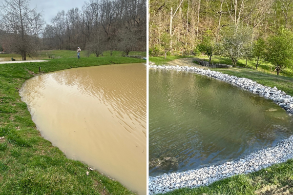 pond-maintenance-proearth